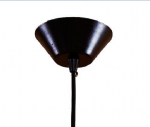 Светильник подвесной Citilux CL450211 Эдисон