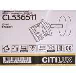 Светильник настенно-потолочный Citilux CL536511 Гессен