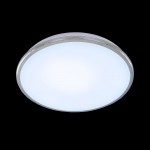 светильник настенно-потолочный Citilux CL702301N Луна