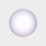 Светильник настенно-потолочный Citilux CL918002 Лучи