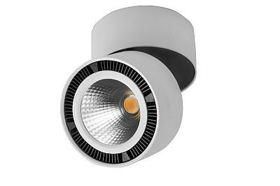 Lightstar FORTE 214810 Светильник Lightstar FORTE 214810 СветильникОдиночные<br>Светильники-споты – это оригинальные изделия с современным дизайном. Они позволяют не ограничивать свою фантазию при выборе освещения для интерьера. Такие модели обеспечивают достаточно качественный свет. Благодаря компактным размерам Вы можете использовать несколько спотов для одного помещения. Интернет-магазин «Светодом» предлагает необычный светильник-спот Lightstar 214810 по привлекательной цене. Эта модель станет отличным дополнением к люстре, выполненной в том же стиле. Перед оформлением заказа изучите характеристики изделия. Купить светильник-спот Lightstar 214810 в нашем онлайн-магазине Вы можете либо с помощью формы на сайте, либо по указанным выше телефонам. Обратите внимание, что мы предлагаем доставку не только по Москве и Екатеринбургу, но и всем остальным российским городам.<br><br>Тип лампы: LED<br>Тип цоколя: LED<br>Количество ламп: 1<br>MAX мощность ламп, Вт: 15<br>Диаметр, мм мм: 125<br>Высота, мм: 130 - 180<br>Цвет арматуры: белый