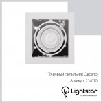 Светильник встраиваемый Lightstar 214010 Cardano