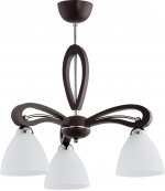 Alfa GRACJA VIGO 20893 потолочный светильник