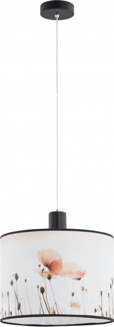 Alfa MACZEK 9610 потолочный светильник