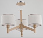 Alfa KARO 22103 потолочный светильник