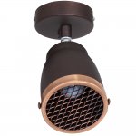 Luminex AILA 9231 спот