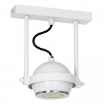 Luminex DIXI 9346 спот