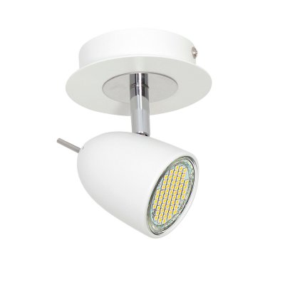 Luminex OLIVIA 6491 спот