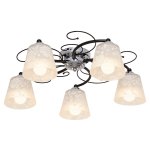 Потолочный светильник Экономсвет 008D/5CR+BK WT