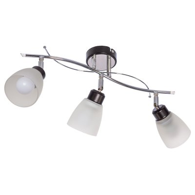 Потолочный светильник Экономсвет 01611/3CR+BK WT