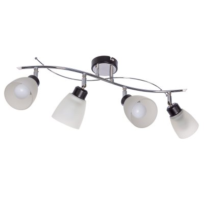 Потолочный светильник Экономсвет 01611/4CR+BK WT