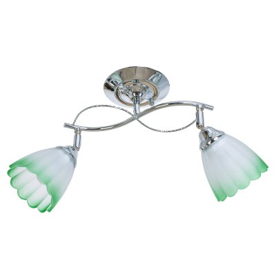 Светильник ЭкономСвет 01616/2CR GN