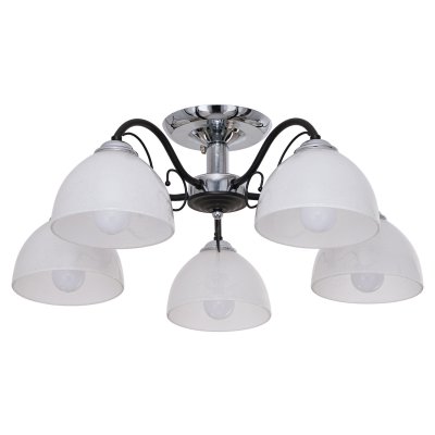 Потолочный светильник Экономсвет 018D/5CR+BK WT