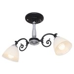 Потолочный светильник Экономсвет 020/2CR+BK WT