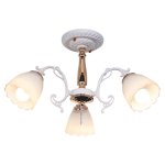 Потолочный светильник Экономсвет 036/3FGD+WT WT