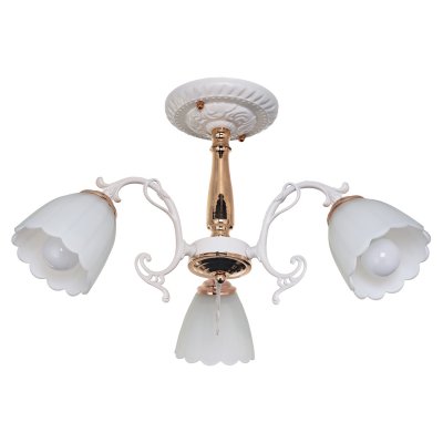 Потолочный светильник Экономсвет 036/3FGD+WT WT