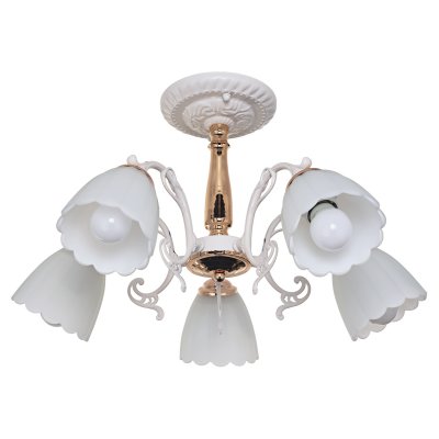 Потолочный светильник Экономсвет 036/5FGD+WT WT