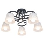 Светильник ЭкономСвет 058/5CR+BK WT