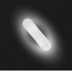 Настенный светильник бра Artemide 0641010A SAGITTA FLUO 