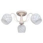 Потолочный светильник Экономсвет 066/3WT WT