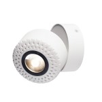 1000425 SLV TOTHEE светильник накладной с LED 13.6Вт (17Вт), 3000К, 1250лм, 25°, белый