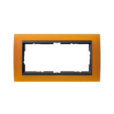 Gira EV Матово-янтарный/антрацит Рамка 2-ая без перегородки (G100214)