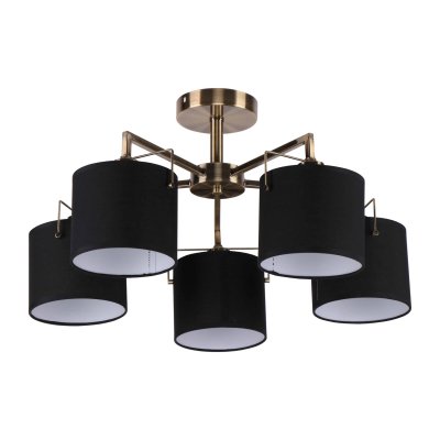 Потолочный светильник Экономсвет 10024/5AB BK+WT