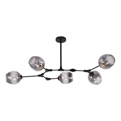 Потолочный светильник Экономсвет 10039/5BK SM Потолочный светильник Экономсвет 10039/5BK SM