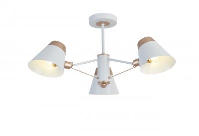 Потолочный светильник Simple Story 1004-3CL Потолочный светильник Simple Story 1004-3CL