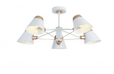 Потолочный светильник Simple Story 1004-5CL Потолочный светильник Simple Story 1004-5CL