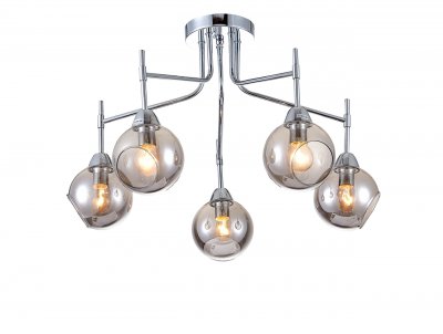 Потолочный светильник Simple Story 1005-5CL Потолочный светильник Simple Story 1005-5CL