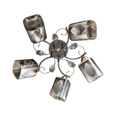 Потолочный светильник Экономсвет 10101/5BK AMB+BK