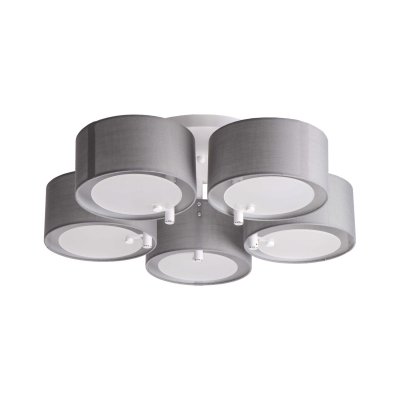 Люстра современная Экономсвет 10105/5WT GR