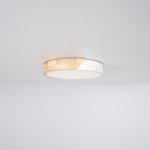 Потолочный светильник CLIP White D30 ImperiumLoft 101446-26