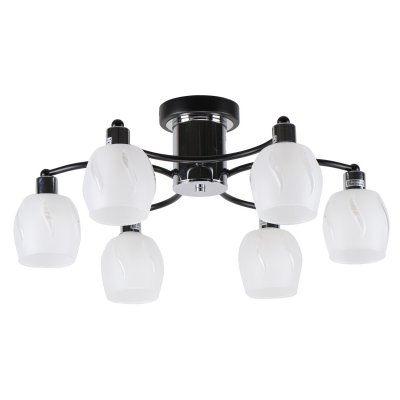 Светильник в стиле модерн Экономсвет 10145/6BK+CR WT