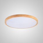 Потолочный светильник DISC WOOD D30 ImperiumLoft 101530-26