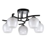 Люстра классическая 10162/5BK+CR WT Экономсвет