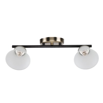 Люстра эконом 10165/2AB+BK WT Экономсвет