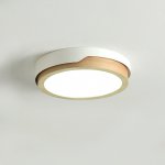 Потолочный светильник LID D32 ImperiumLoft 101732-26