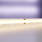 Светодиодная лента 24В Maytoni 10182