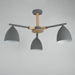 Потолочная люстра NOA 3 Gray by ImperiumLoft ImperiumLoft 101838-26