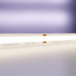 Светодиодная лента 24В Maytoni 10183