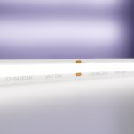 Светодиодная лента 24В Maytoni 10184