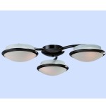 Люстра Favourite 1020-6U Galaxy