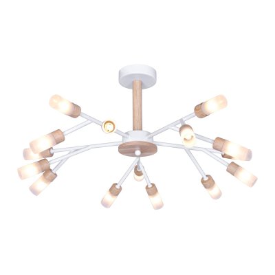 Потолочный светильник 10209/15WT+WD WT Экономсвет