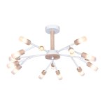 Потолочный светильник 10209/15WT+WD WT Экономсвет