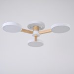 Потолочная люстра TURNA 3 White ImperiumLoft 102157-26