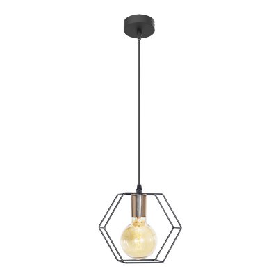 Подвесной светильник Экономсвет 10221/1BK+FG BK Подвесной светильник Экономсвет 10221/1BK+FG BK