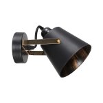 Спот настенный 10223/1wBK+FG BK ЭкономСвет