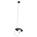 Подвесной светильник Wonders Loft It (Light for You) 10237P Black 